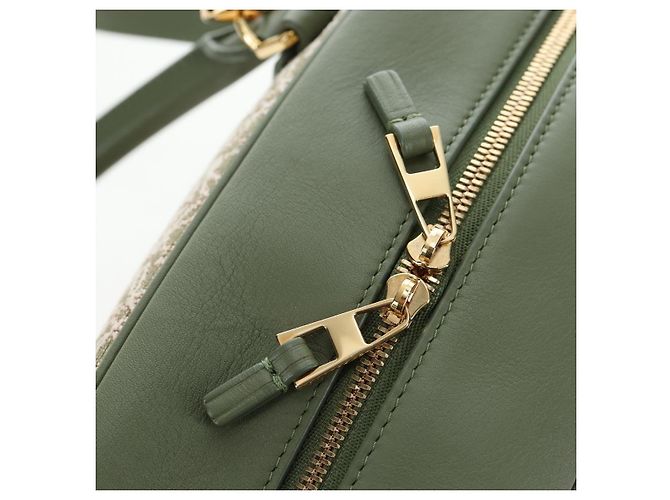 Borsa a mano LOEWE Amazona 19 Canvas 2way Beige Gold Auth 196053SAM D'oro - vista 21