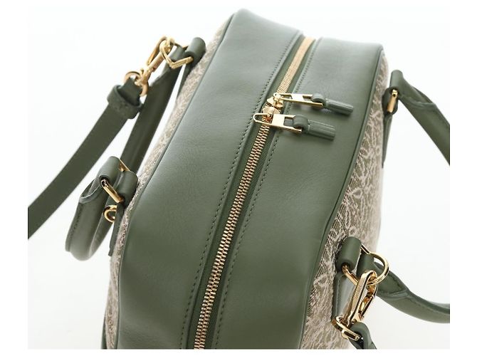 Borsa a mano LOEWE Amazona 19 Canvas 2way Beige Gold Auth 196053SAM D'oro - vista 6
