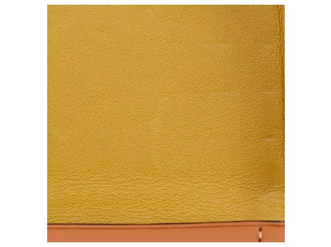 Borsa a tracolla LOEWE Mini Anagram Heel in vitello liscio marrone - vista 10