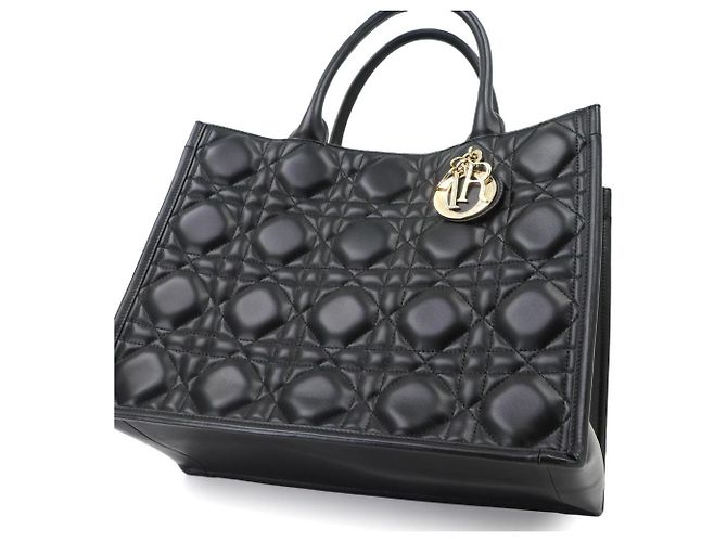 Borsa Book Tote Christian Dior Medium Nero - vista 9