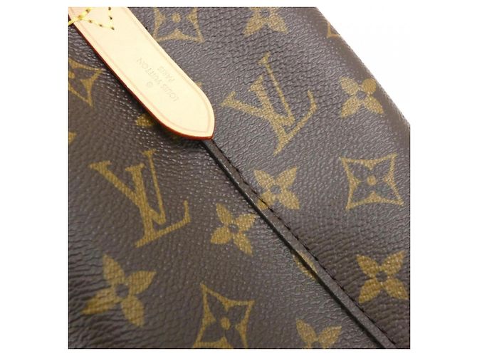 Néonoé Borsa a tracolla Louis Vuitton Monogram Neo Noe BB Marrone - vista 5