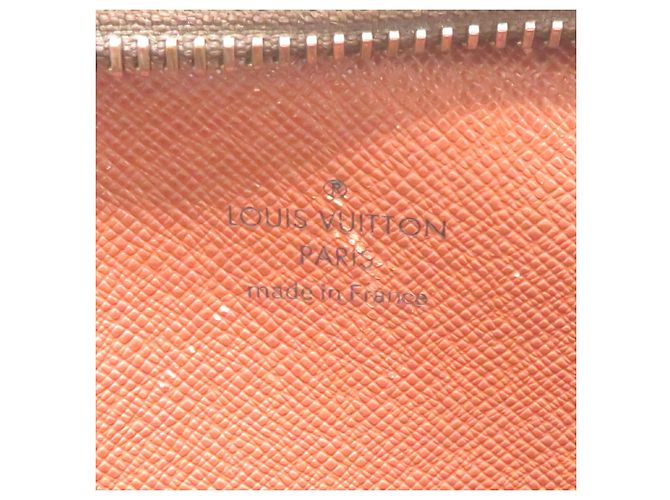 Borsa a tracolla Louis Vuitton Amazon da donna Marrone - vista 7