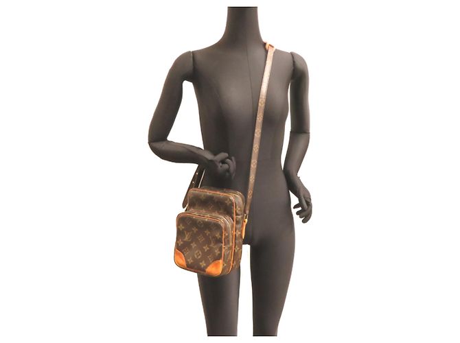 Borsa a tracolla Louis Vuitton Amazon da donna Marrone - vista 9