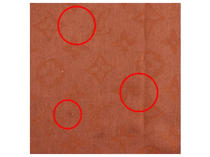 Stola in seta e lana Monogram Louis Vuitton Marrone - vista 7