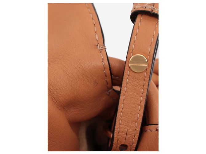 Loewe Borsa a tracolla Flamenco in pelle Tan Marrone - vista 8