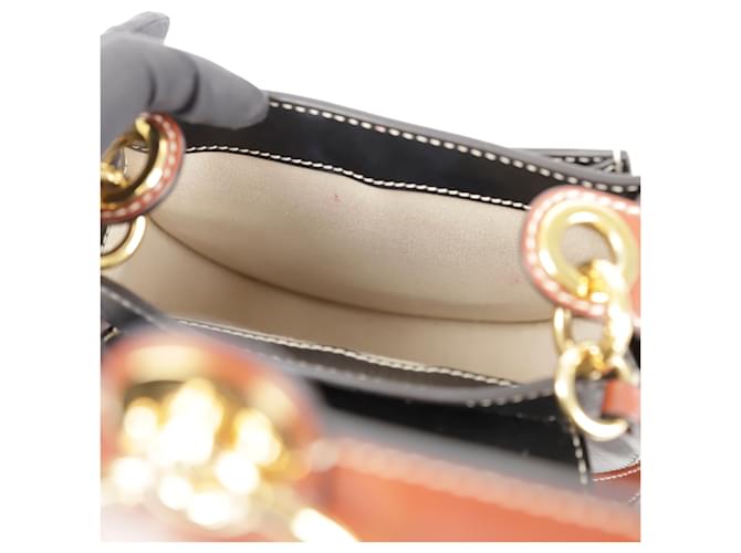 Chloé Borsa a tracolla Tess Small Shoulder Multicolore - vista 11