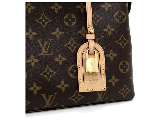 Sarah Louis Vuitton Borsa Tote e Borsa a Tracolla Monogram Petit Palais Multicolore - vista 8