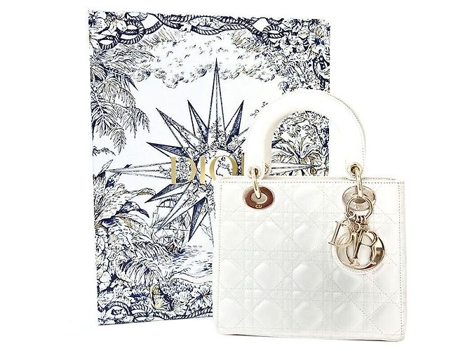 Dior Christian Ladybag Small Bianco - vista 6