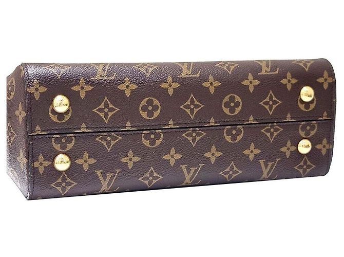 Louis Vuitton Cluny MM - vista 6