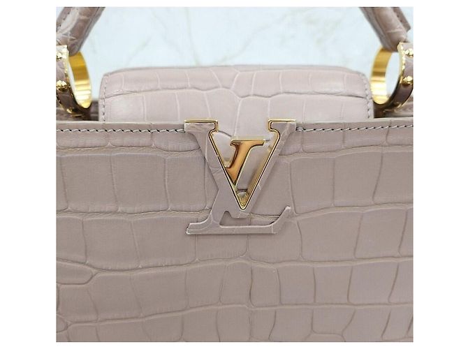 Louis Vuitton Capucines BB Matte Alligator Multicolor - vista 5