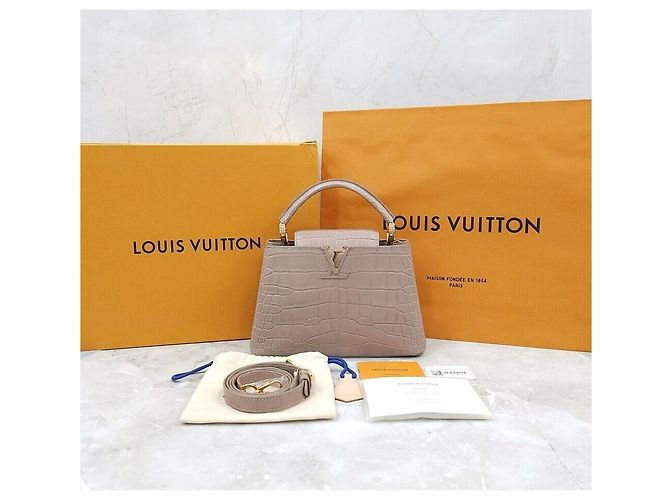 Louis Vuitton Capucines BB Matte Alligator Multicolor - vista 9