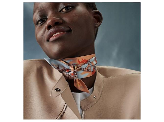 Twilly in seta Hermès Arancione - vista 2