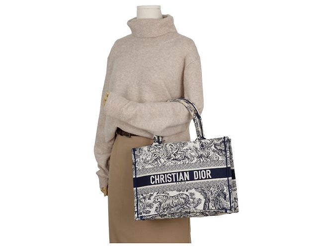 Dior Bolso Book Tote Medium Multicolor - vista 14