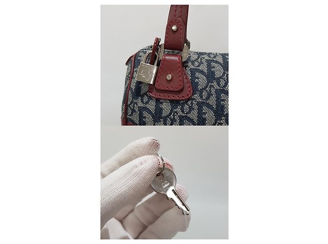 Dior Borsa Tote Oblique Trotter - vista 3