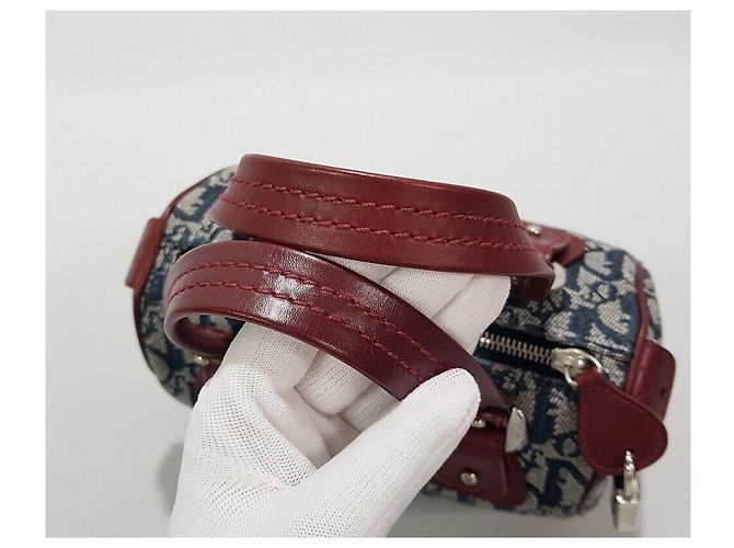 Dior Borsa Tote Oblique Trotter - vista 6