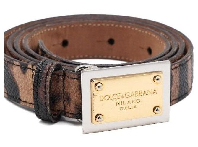 Dolce & Gabbana Damengürtel mit Leopardengurt und goldener Platte Mehrfarben - Ansicht 3