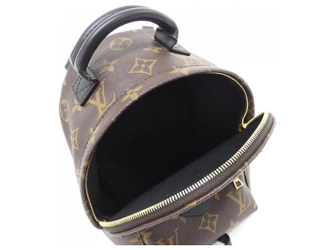 Zaino MINI Palm Springs Monogram Louis Vuitton Marrone - vista 6