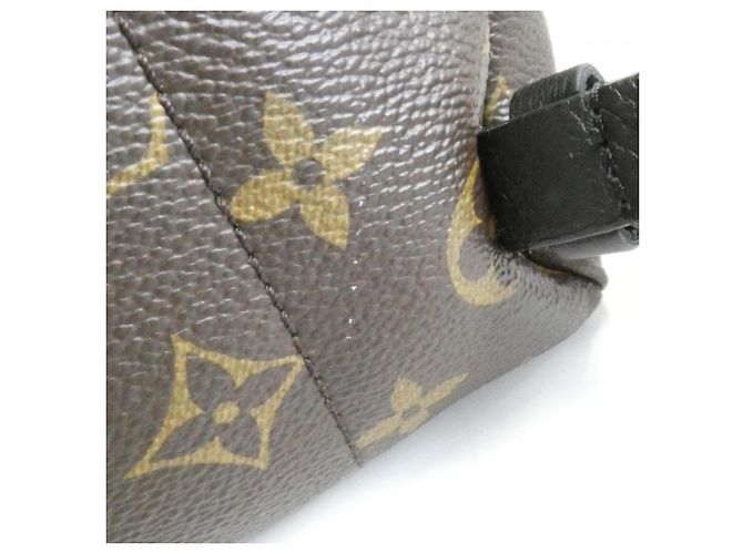 Zaino Louis Vuitton Monogram Palm Springs PM Marrone - vista 6