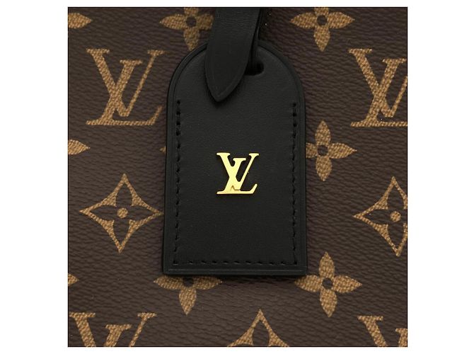 Borsa a tracolla Louis Vuitton Monogram Odeon PM Marrone - vista 5