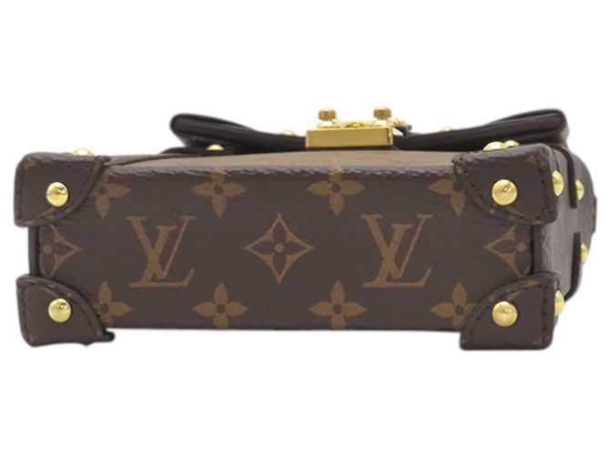 Louis Vuitton Brown Monogram Reverse Pochette Trunk Verticale Marrone - vista 3