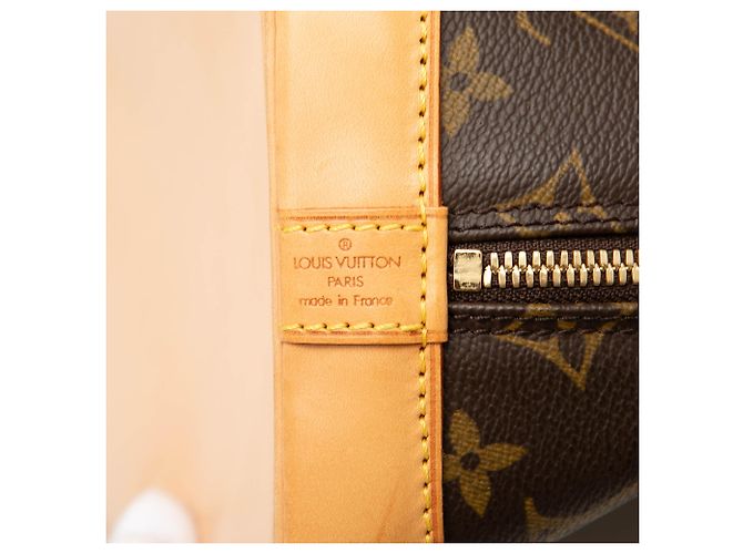 Louis Vuitton Brown Monogram Alma PM Marrone - vista 5