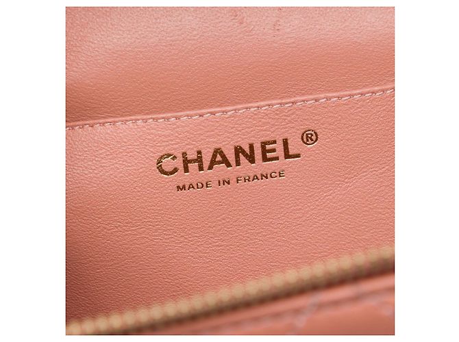 Chanel Vanity Case Knock On Wood in pelle d'agnello matelassé marrone Large Carne - vista 5