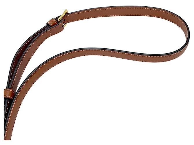 Céline Borsa a tracolla Celine Mini Besace Triomphe Marrone - vista 12