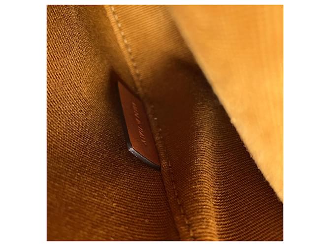 Céline Borsa a tracolla Celine Mini Besace Triomphe Marrone - vista 15