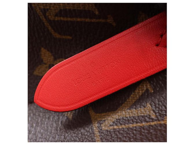 Néonoé Borsa Louis Vuitton NeoNoe Marrone Rosso - vista 4