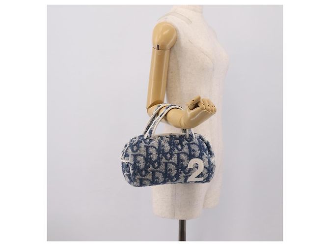Borsa a mano Christian Dior Trotter Canvas pile Blue Auth 196270A - vista 21