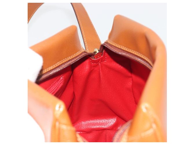 Céline Borsa a tracolla Circle CELINE in pelle marrone oro autentica 196309 D'oro - vista 18
