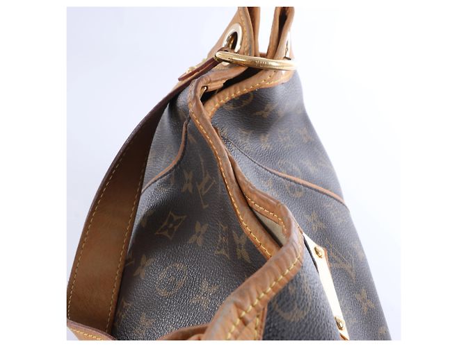 Borsa a tracolla Louis Vuitton Monogram Galliera PM in marrone - vista 11