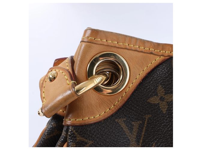 Borsa a tracolla Louis Vuitton Monogram Galliera PM in marrone - vista 15