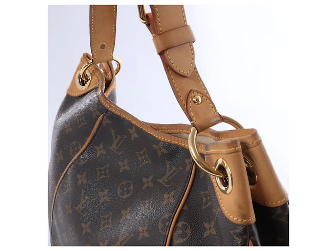 Borsa a tracolla Louis Vuitton Monogram Galliera PM in marrone - vista 5