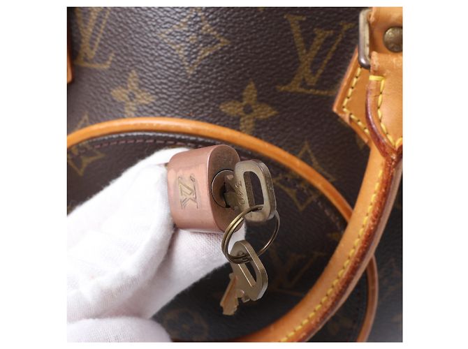 Borsa Louis Vuitton Ellipse Monogram PM in marrone - vista 13