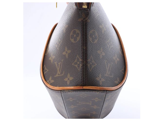 Borsa Louis Vuitton Ellipse Monogram PM in marrone - vista 9