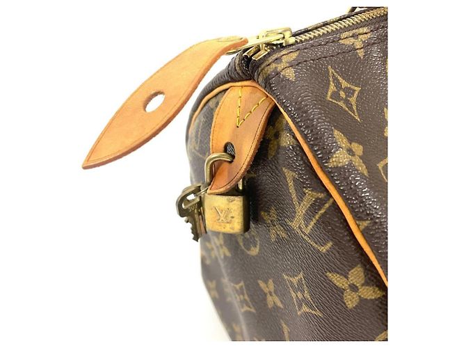 Borsa Louis Vuitton Speedy 30 Marrone Monogramma - vista 4