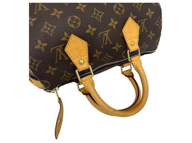 Bolso de mano de cuero Louis Vuitton Monogram Speedy 25 Castaño - vista 4