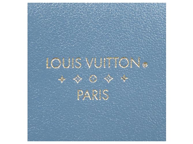 Louis Vuitton Blue Calfskin LV Pont 9 Soft MM Blu chiaro - vista 4