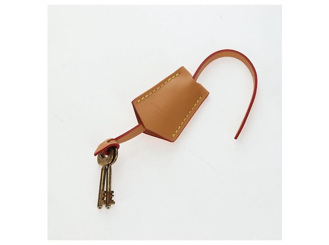 LOUIS VUITTON Monogram HUMAN MADE NIGO Cotoville 40 Trunk M20464 Auth BA14605SM Giallo Monogramma - vista 32