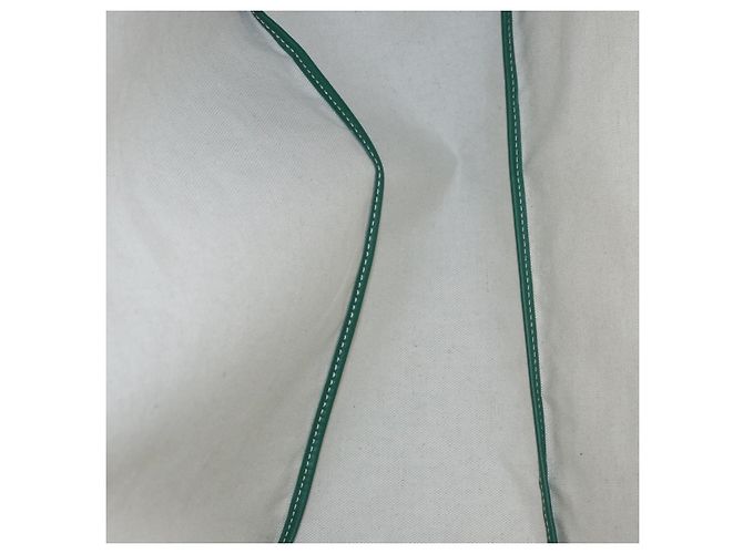 Borsa tote Saint Louis PM in PVC Herringbone GOYARD verde Auth BA14601SM - vista 10