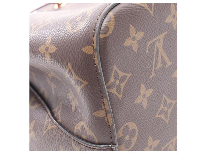 Néonoé Borsa a tracolla Louis Vuitton NeoNoe Marrone Rosso Monogramma - vista 6