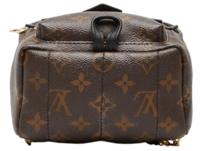 Zaino Louis Vuitton Monogram Palm Springs Mini Marrone Nero Monogramma - vista 3
