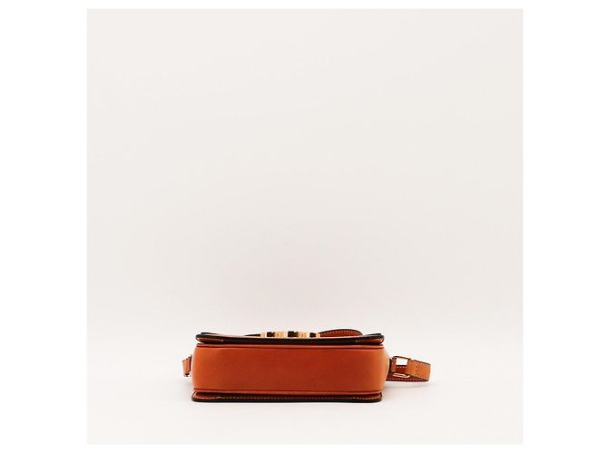 Céline Borsa piccola Celine Triomphe in tela e pelle Tan Marrone Monogramma - vista 5