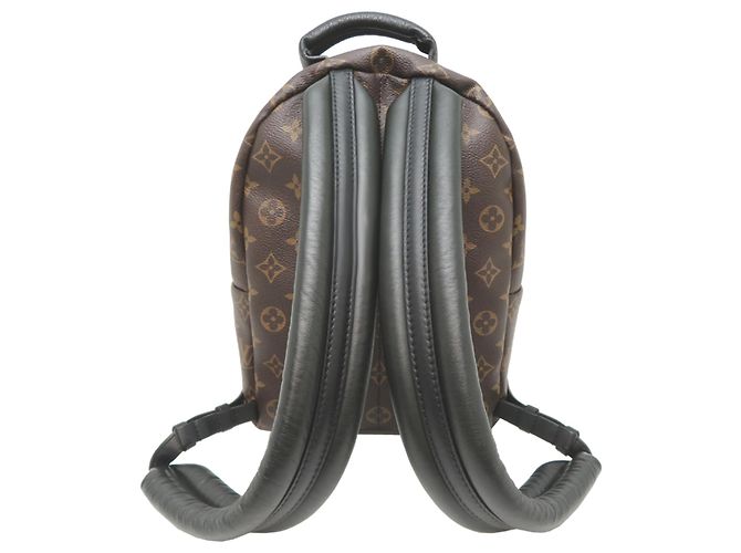 Zaino Louis Vuitton Palm Springs PM da donna Marrone - vista 2