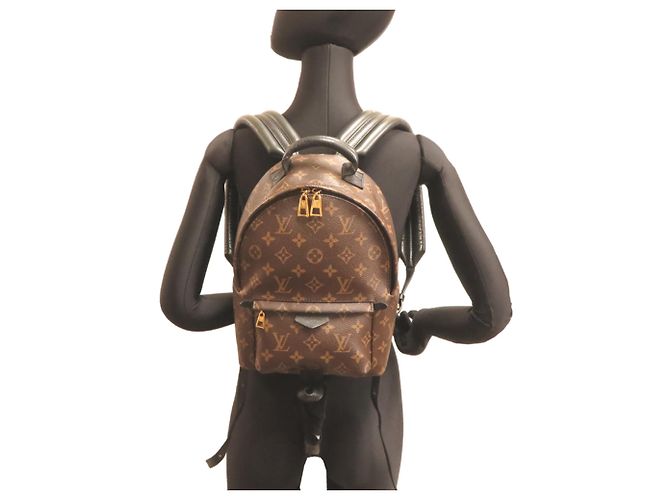 Zaino Louis Vuitton Palm Springs PM da donna Marrone - vista 8