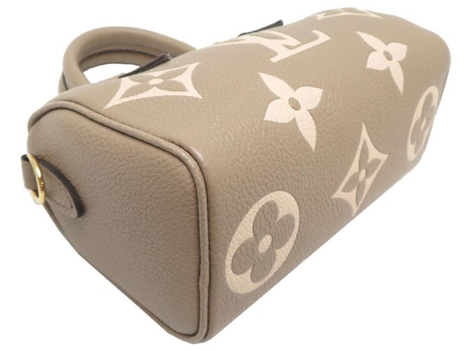 Borsa a mano Louis Vuitton Nano Speedy in Gray Marrone - vista 3