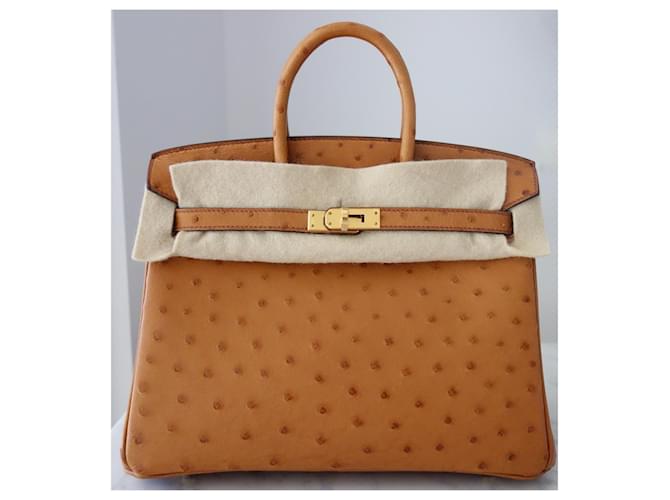 Hermès Birkin 25 Pelle di Struzzo Cognac Marrone - vista 3