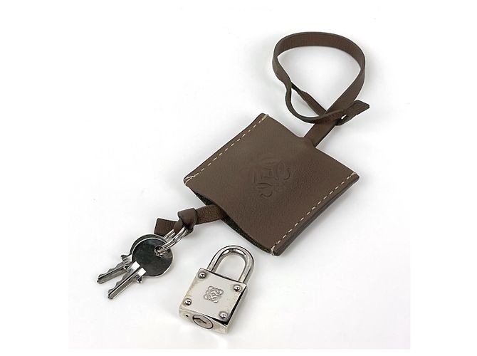 Borsa a mano Loewe Amazona 28 Anagram in camoscio Marrone - vista 10