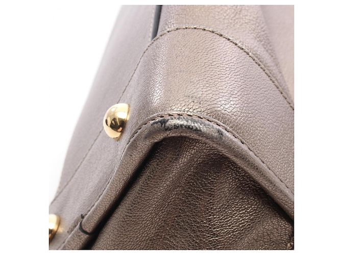 Borsa Loewe Amazona 36 Metallic D'oro - vista 8